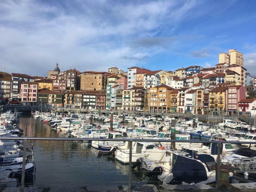 Apartamentos Urdaibai 2 贝梅奥 外观 照片